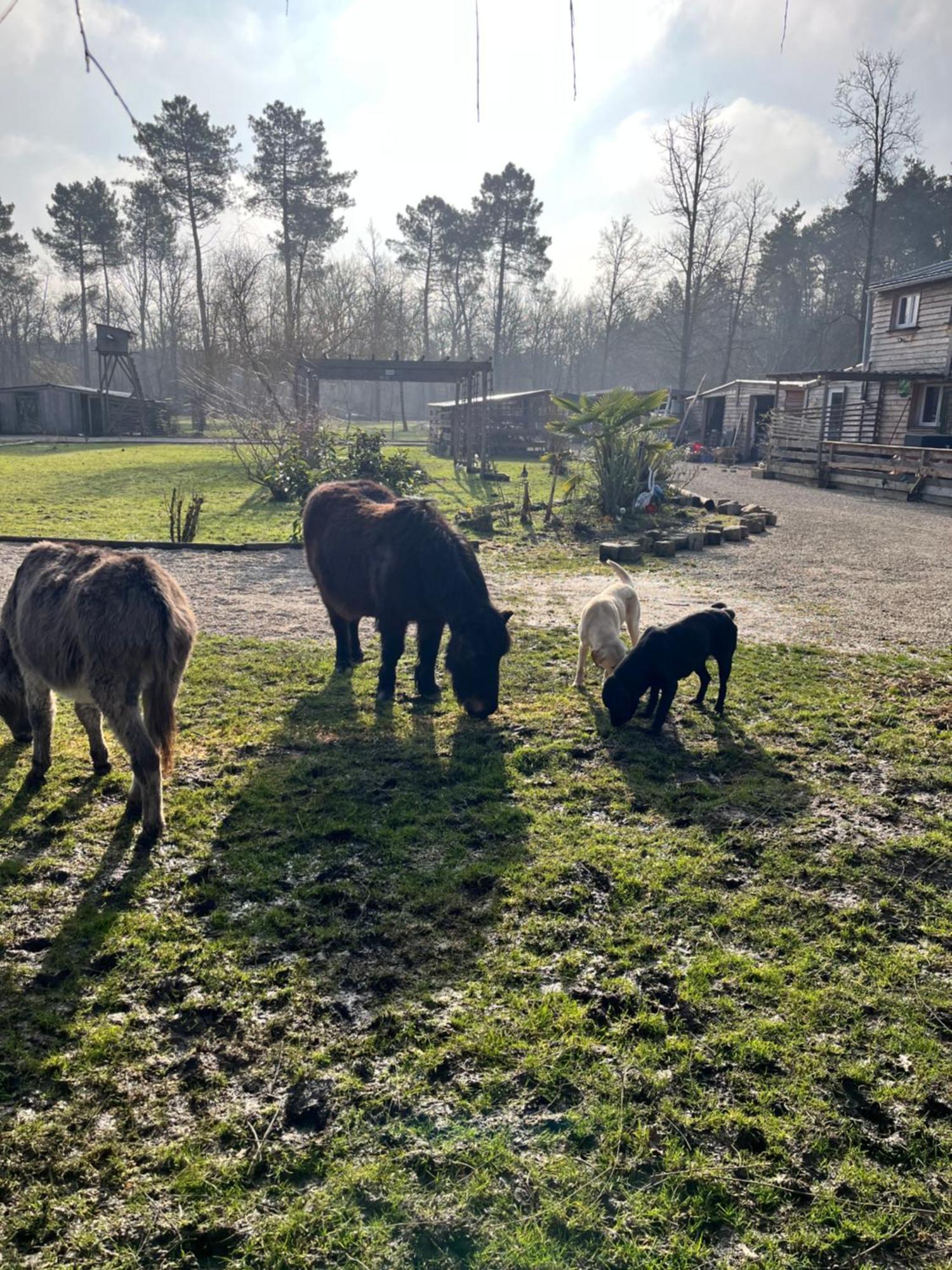 Le Perchoir Villa Chatenoy  Eksteriør billede